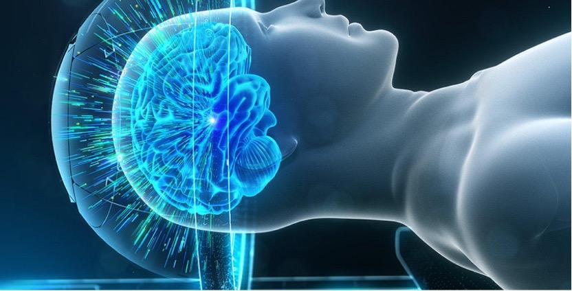 �������ǲ�(ZLKS)����Ψһ�ٷ���վ