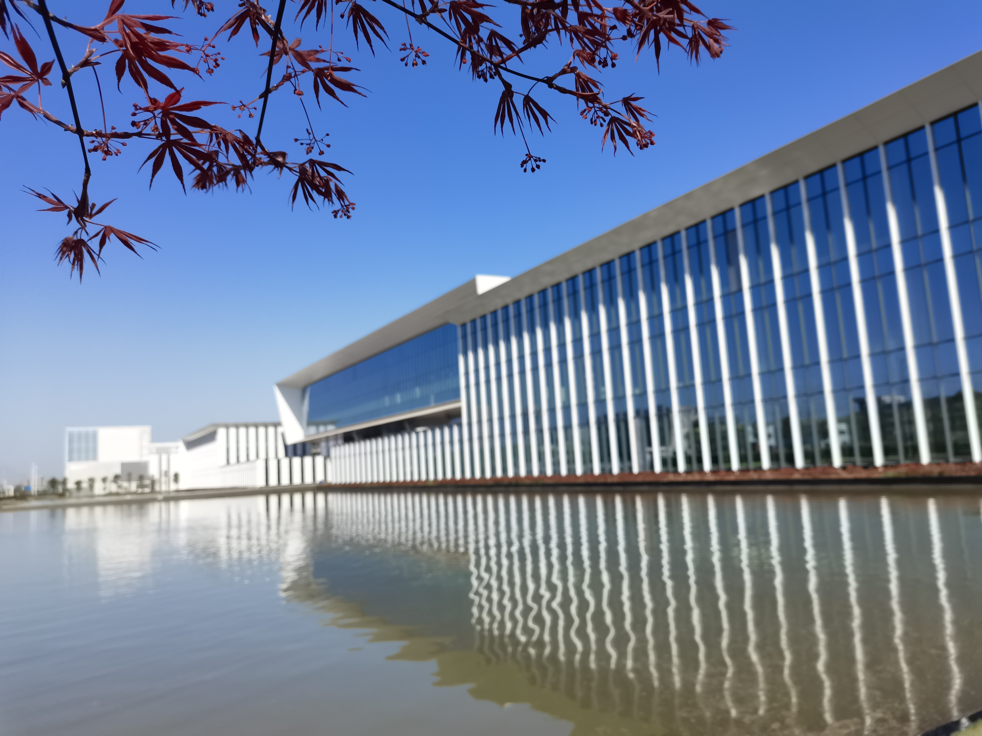 �������ǲ�(ZLKS)����Ψһ�ٷ���վ