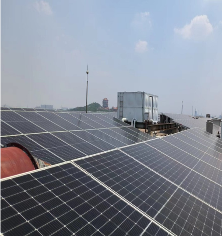 �������ǲ�(ZLKS)����Ψһ�ٷ���վ